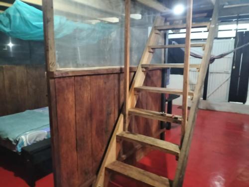 a ladder leading up to a bunk bed in a room at Camping Fungi in Puerto Nariño