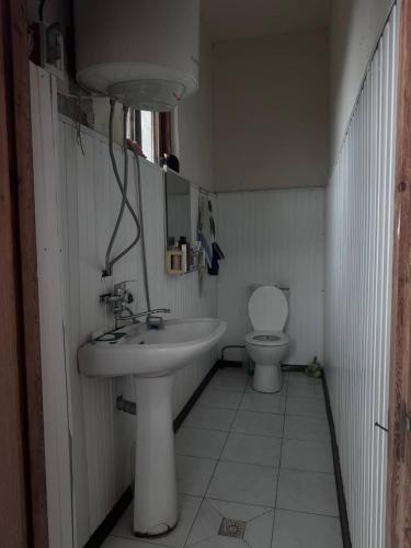 een badkamer met een wastafel en een toilet bij Дом Бобоквати in Kobuleti