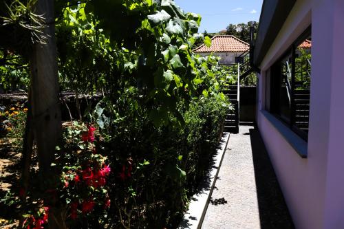 a garden next to a house with flowers at Marialina, By OP in São Vicente