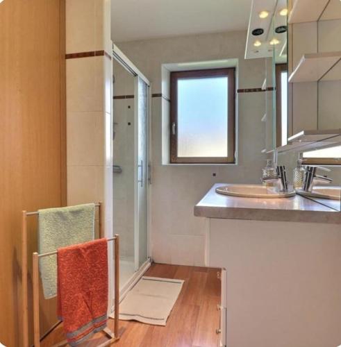 La salle de bains est pourvue d'un lavabo, d'une douche et d'un comptoir. dans l'établissement Gîte les goélands, à Cherrueix