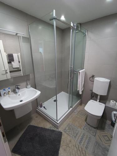 a bathroom with a shower and a toilet and a sink at Apartman Slatina in Tuzla