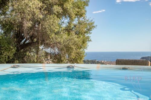 Villa Bonnard in Nice Sea and city View & Pool
