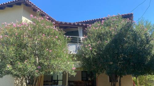 two trees in front of a house with pink flowers at Guesthouse Bregdeti in Velipojë