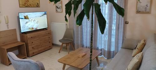 Μια τηλεόραση ή/και κέντρο ψυχαγωγίας στο small gardens