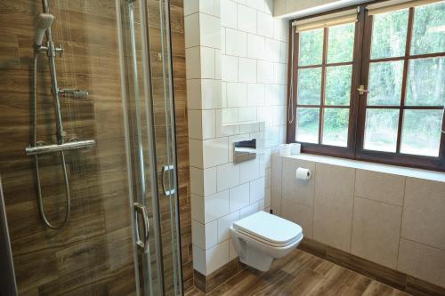 a bathroom with a toilet and a glass shower at Villa Biesisko Przysłup Cisna in Cisna