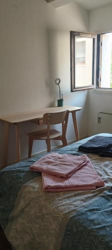- une chambre avec un lit, un bureau et une table dans l'établissement Duplex climatise CV Avignon extra muros, à Avignon