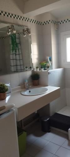 une salle de bain avec un lavabo et un miroir dans l'établissement Duplex climatise CV Avignon extra muros, à Avignon