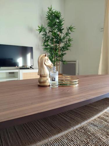 Appartement neuf Piscine