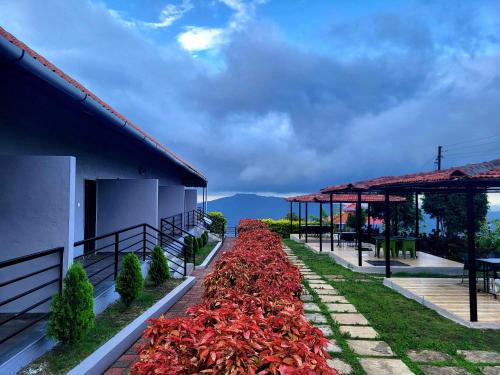 a row of red plants next to a building at Vayu Resort - Kas Pathar in Kanera