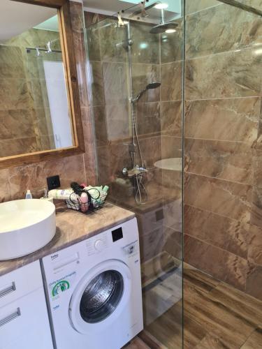 a bathroom with a washing machine and a shower at Blue apartman in Belgrade