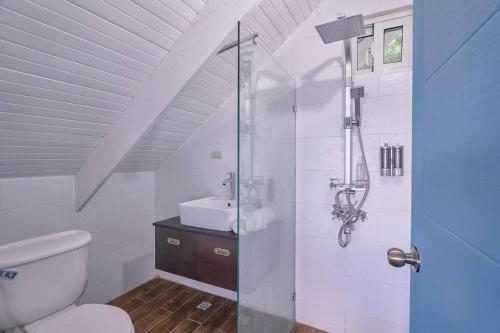 a bathroom with a shower with a toilet and a sink at New-CasitaDeLasFlores-View-Wifi-Jacuzzi-Jarabacoa in Jarabacoa