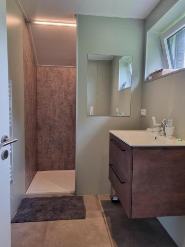 a bathroom with a shower and a sink and a showerspective at Vue sur les Combes in Malmedy