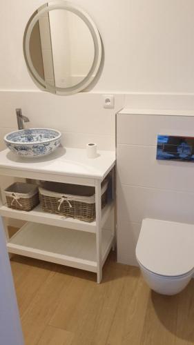 a bathroom with a white toilet and a mirror at Tkalcovna U Zlatého potoka in Dobřany