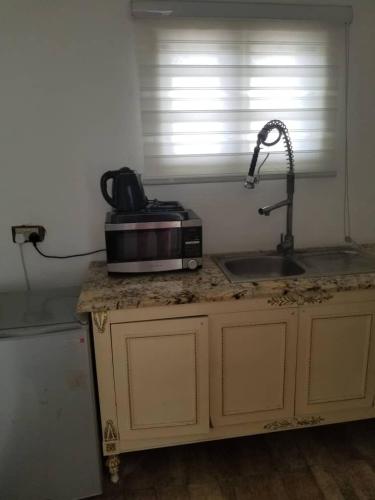 a kitchen counter with a sink and a microwave at Ellyxville Hotel in Lekki