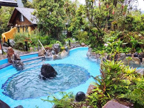 a pool in a garden with a rock in the water at Termas de Papallacta in Papallacta