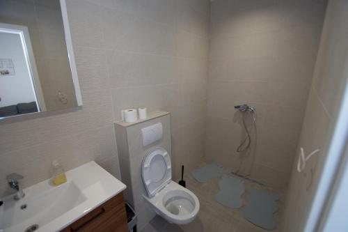 a bathroom with a toilet and a sink at Studio Apartman Petrinja in Petrinja