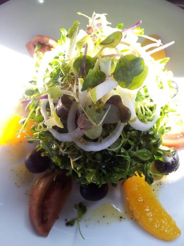 a plate of food with a salad and vegetables at La Mira de Gredos in Hoyos del Espino