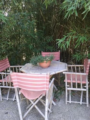 Κήπος έξω από το Casa Virgilio