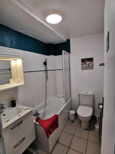 une salle de bain avec une douche, des toilettes et un lavabo dans l'établissement Appartement 2 chambres proche plage, à Boulogne-sur-Mer