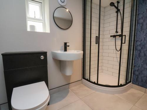 a bathroom with a shower and a toilet and a sink at Apt 1 Hunter's Quay in Bridlington
