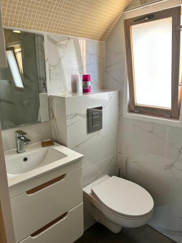 a white bathroom with a toilet and a sink at Zatoka Marina II in Mechelinki