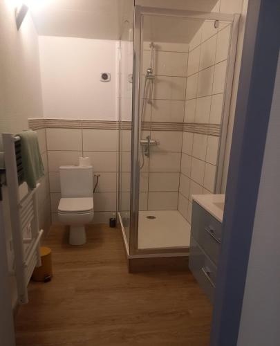 une salle de bain avec toilettes et douche en verre dans l'établissement Le Gîte des Tisserands, à Villefranche-de-Conflent