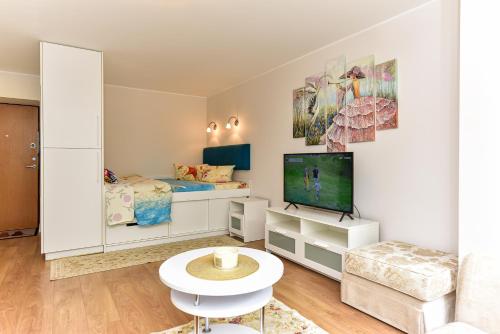 Una televisión o centro de entretenimiento en Stilingi apartamentai su virtuve Trakų miesto centre