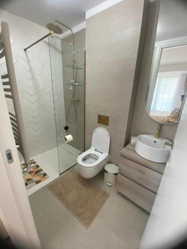 a bathroom with a toilet and a shower and a sink at Apartament Naty S 403 Vogh Olimp in Olimp