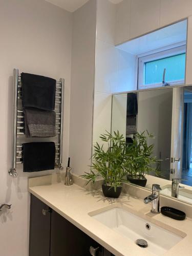 Fotografie z fotogalerie ubytování Park View House v destinaci Tamworth