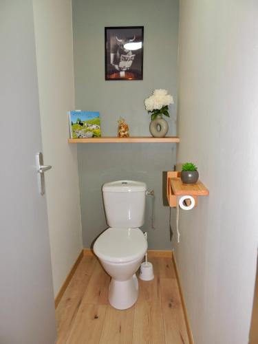 une salle de bain avec des toilettes avec une étagère au-dessus dans l'établissement Cocon de la belle de Vosges 3 chambres, à Remiremont