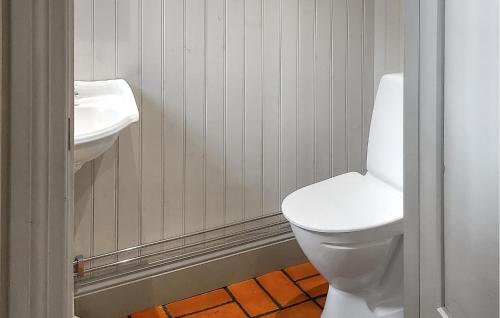a bathroom with a white toilet and a sink at Lovely Home In Borlänge With Sauna in Borlänge