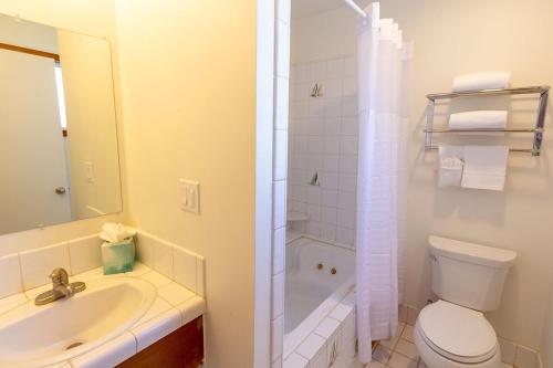 a bathroom with a toilet and a sink and a shower at Edgewater Beach Inn in Santa Cruz