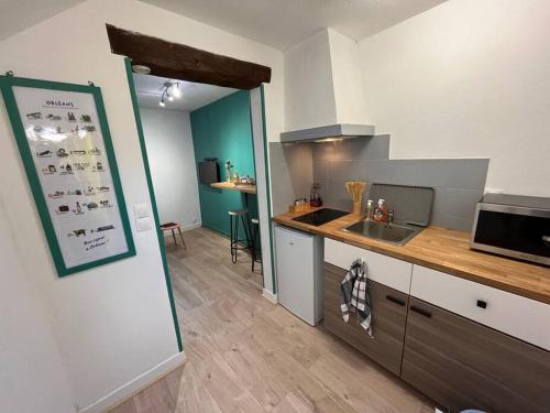 une cuisine avec un évier et un plan de travail dans l'établissement Appartement au coeur d'Orléans et Bords de Loire, à Orléans