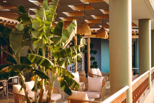 a lobby with tables and chairs and a plant at Ananda Apartments in Kalakaíika