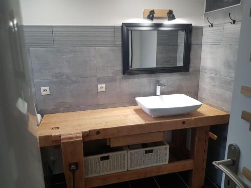 une salle de bain avec un lavabo et un miroir dans l'établissement Gite Le Nymphéa, La Cambre, à Saint-Aubert-sur-Orne