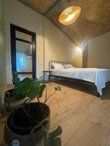 Una cama o camas en una habitación de Citrica