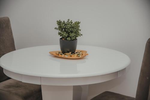 a white table with a potted plant on it at Jes Apartments in Leskovac