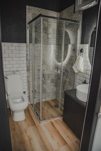 a bathroom with a shower and a toilet and a sink at Jes Apartments in Leskovac