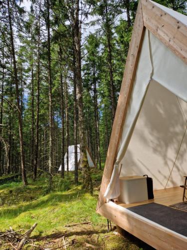 Příroda nedaleko luxury tent