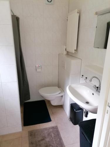 a white bathroom with a toilet and a sink at Morning Glory, Huisje Dahlia in Beekbergen