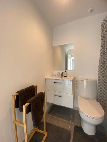 une salle de bain avec toilettes, lavabo et miroir dans l'établissement Le charmant studio, à Baillargues