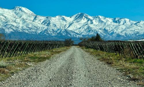 a dirt road with snow covered mountains in the background at Casa de Huéspedes La Azul in Los Árboles