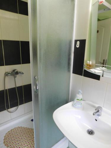 a bathroom with a shower and a sink and a sink at Villa Anna in Palić