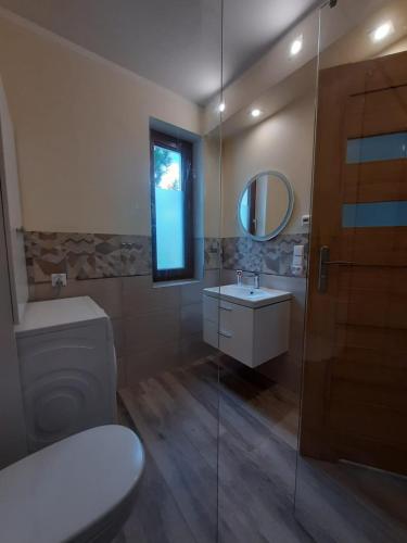 a bathroom with a toilet and a sink and a mirror at Dom Geografów in Swornegacie