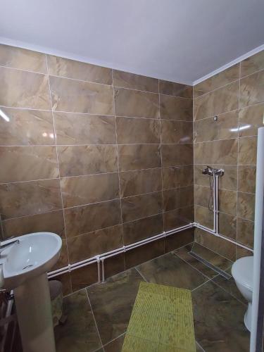 a bathroom with a sink and a toilet at Casa Vânătorilor in Arieşeni