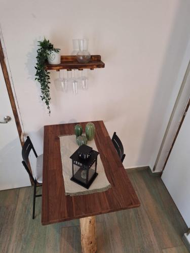 a dining room table with a cactus on it at Casa vacanze green house in Terrasini