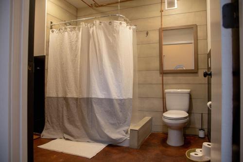 a bathroom with a shower curtain and a toilet at Viaduct Loft at Kestrel Hotel in Philadelphia