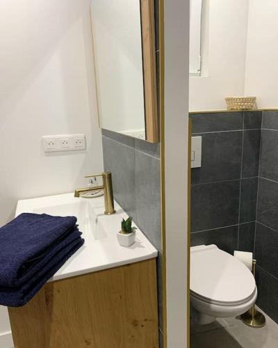 Photo de la galerie de l'établissement Maison centre ville - 2 chambres - Sauna en option, à Marchiennes-Ville