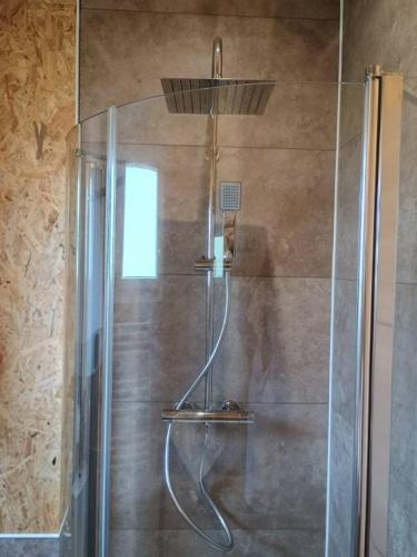 une douche avec une porte vitrée dans une salle de bain dans l'établissement Gîte Bleu Confort et Nature, à Sennecey-le-Grand