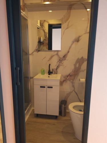 a bathroom with a sink and a toilet at B&B voorne aan zee in Rockanje